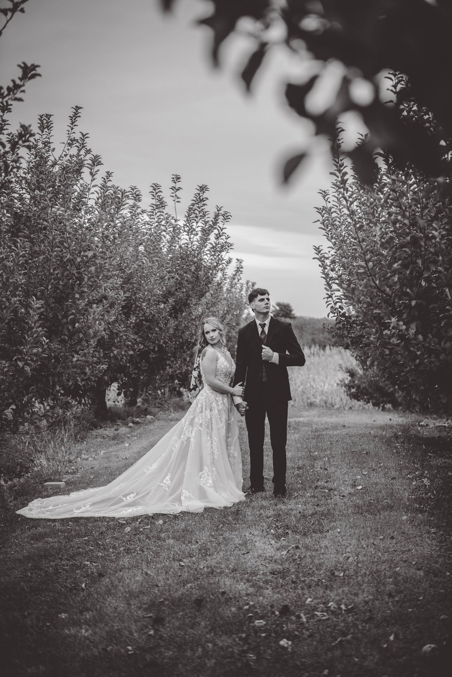 Black and white wedding portraits taken in a scenic apple orchard.