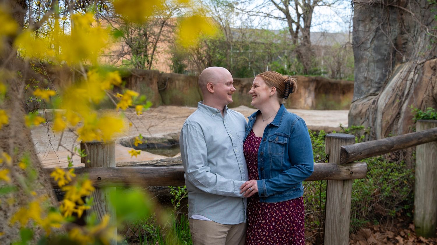 Yellow forsythia flowers frame an intimate moment between a couple in an outdoor setting.