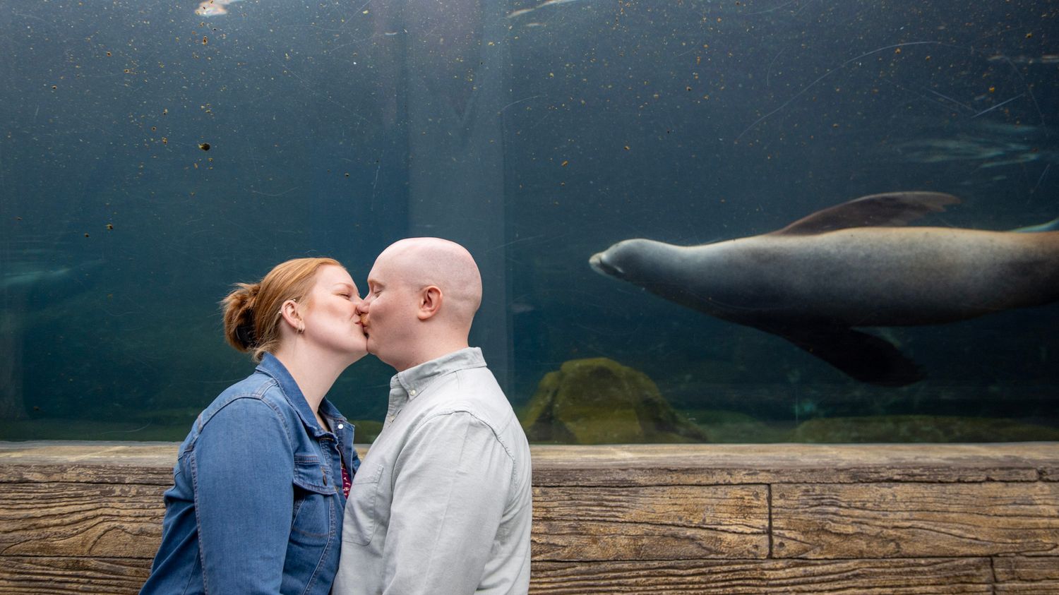 A couple shares a romantic moment at an aquarium while a seal swims past.
