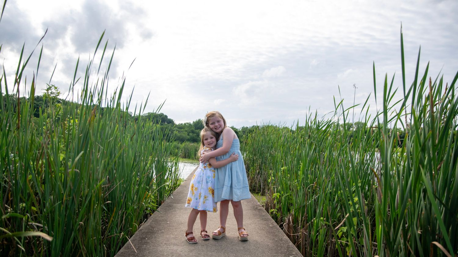 Wide panoramic shot of a wooden boardwalk cutting through tall wetland grasses.