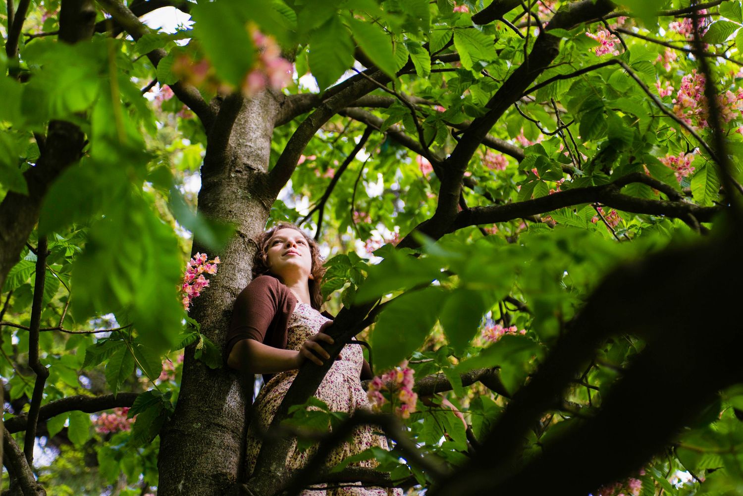 Artistic nature shot through green tree branches and leaves.