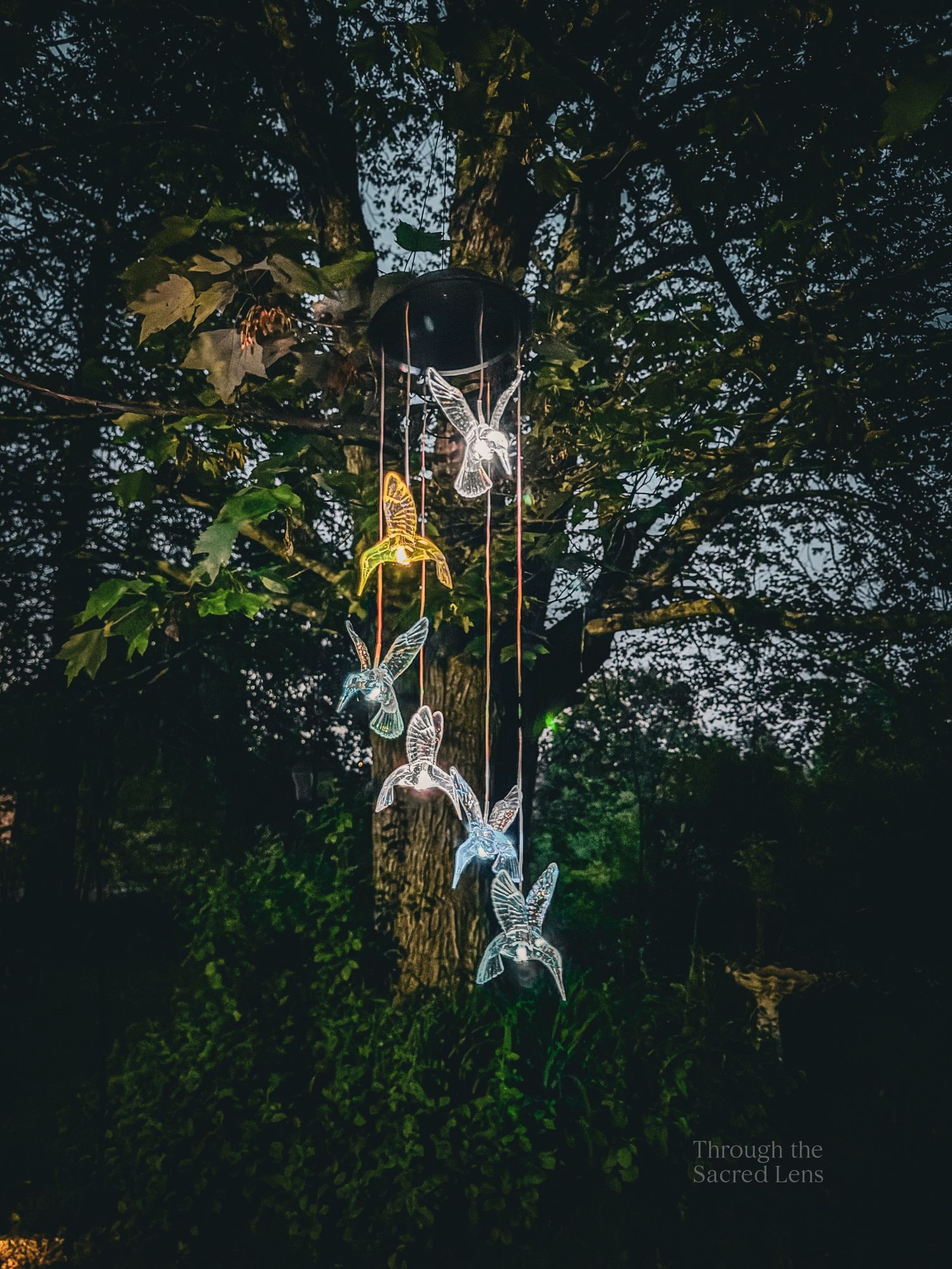 Illuminated hummingbird decorations glowing in a dark garden setting.
