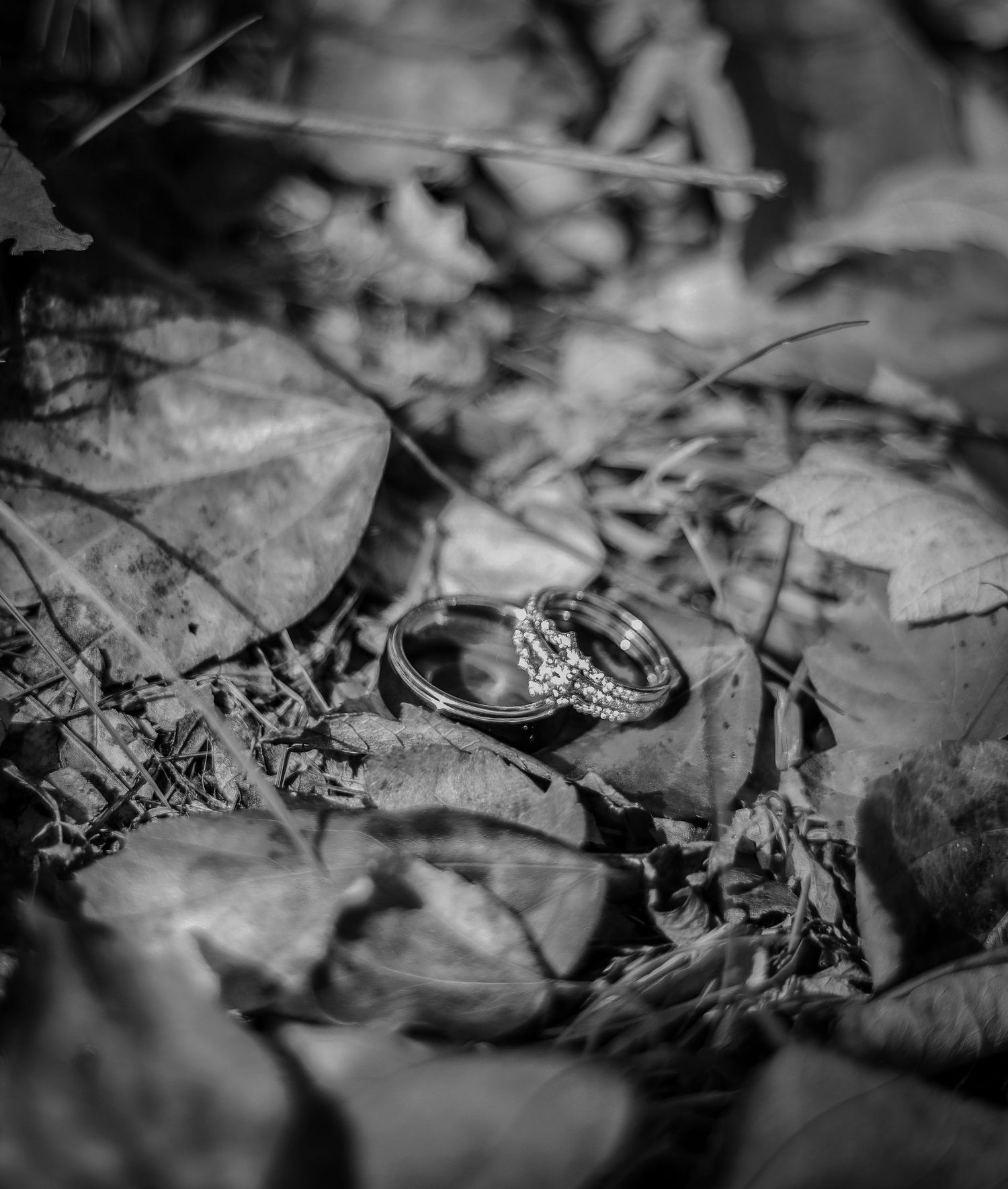 Macro black and white photograph of  wedding rings in autumn leaves with intricate textural detail.