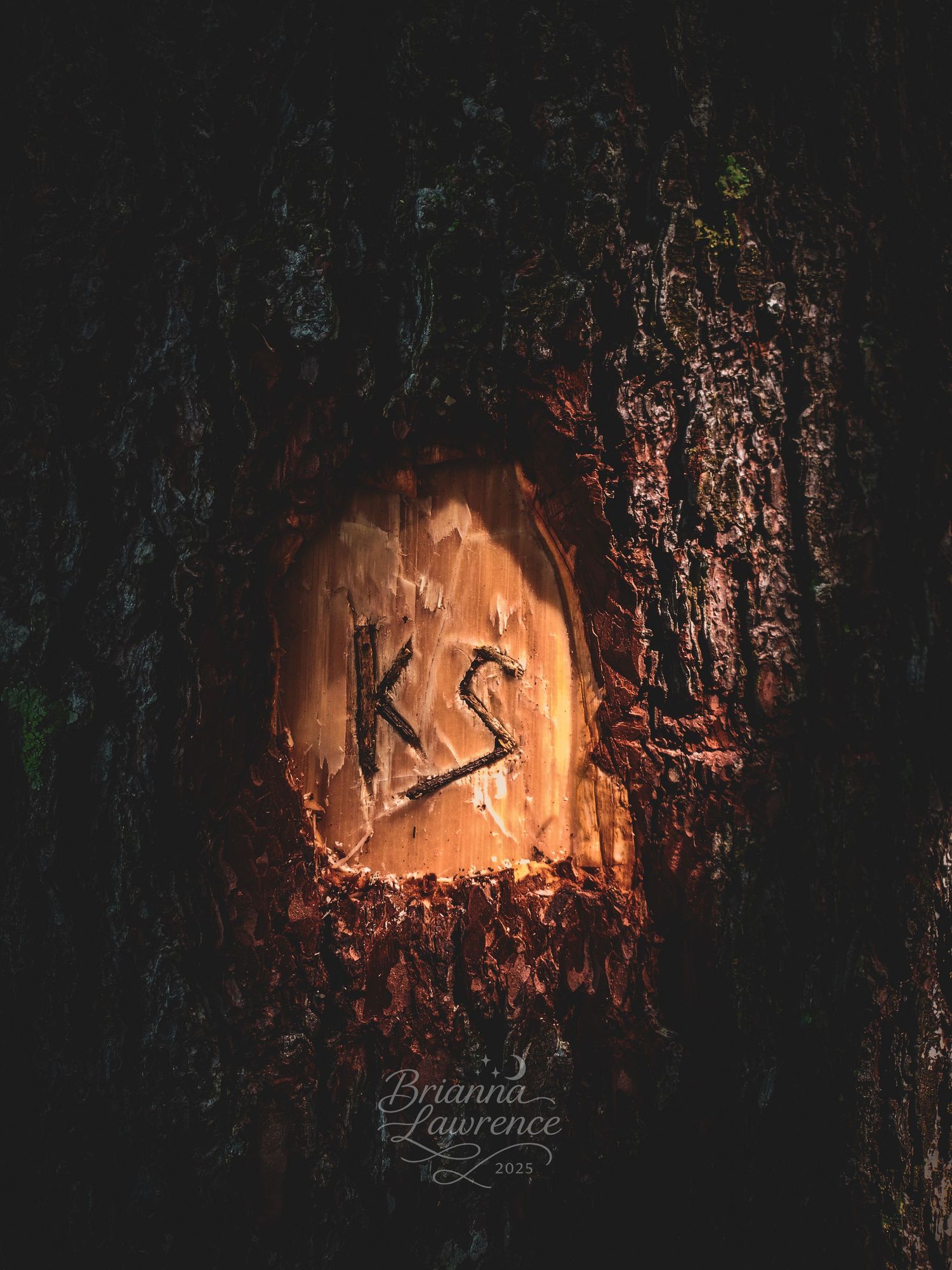 Mysterious illuminated initials carved into dark tree bark creating an eerie glow in the forest.