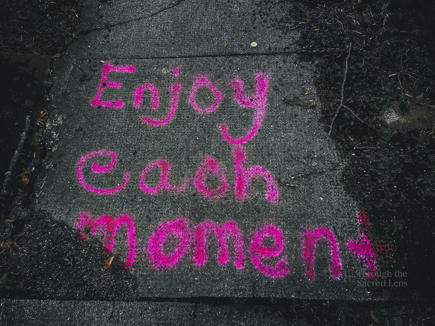 Pink graffiti writing on dark asphalt creating an urban texture.