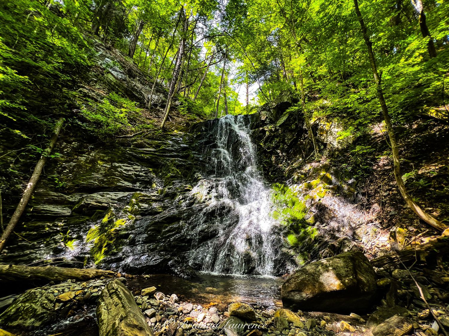 A serene forest waterfall cascades over moss-covered rocks in a lush green woodland setting.
