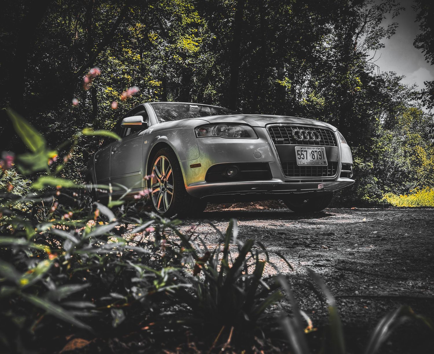 Luxury Audi vehicle parked in a shadowy forest setting.
