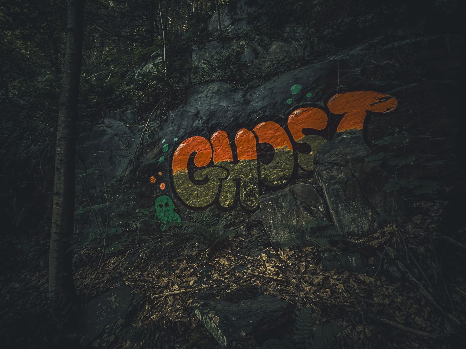Orange graffiti text on dark forest rock wall illuminated in moody lighting.