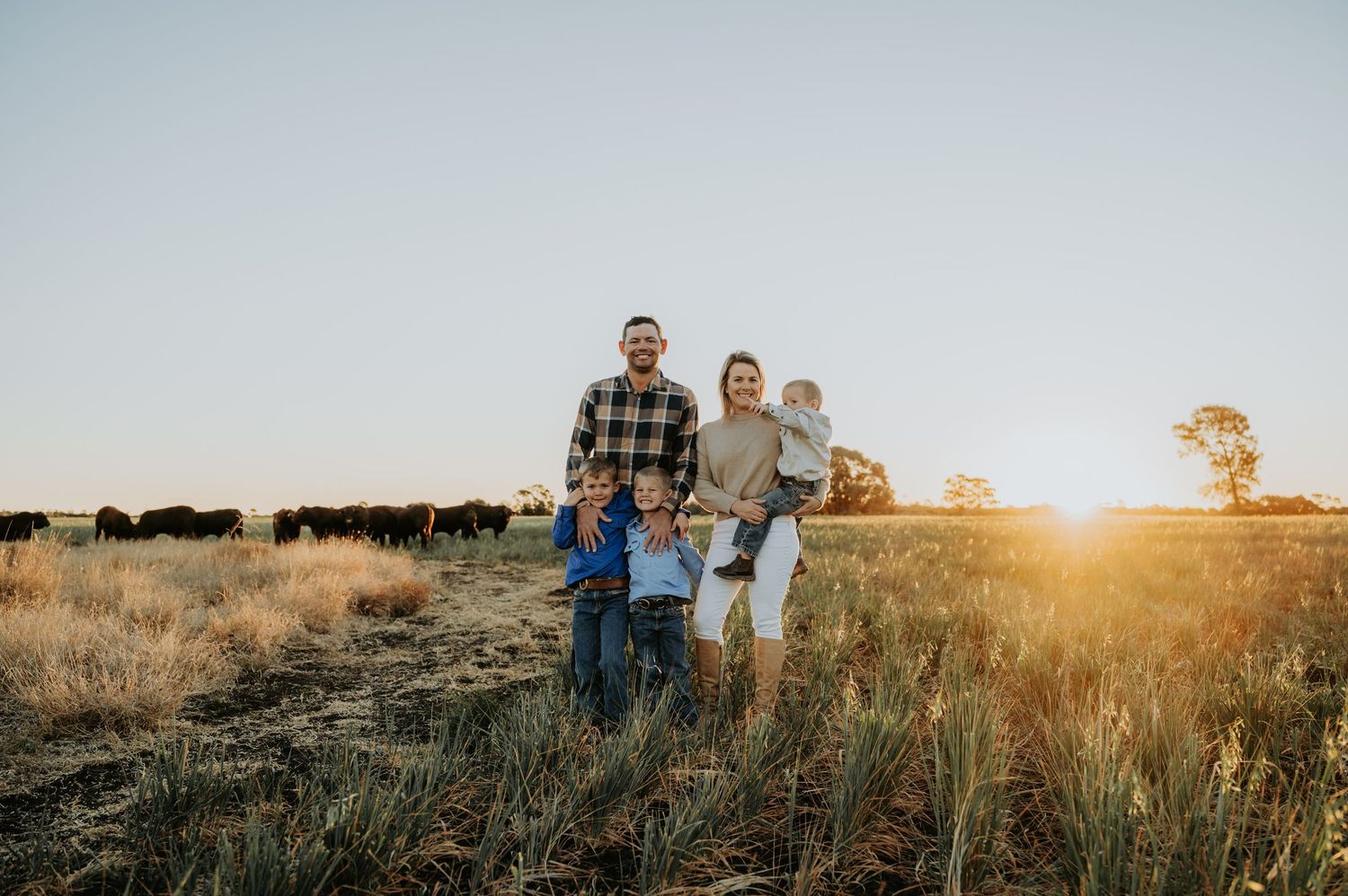 Family of four posing in golden field at sunset with cattle grazing in background on rural farm.