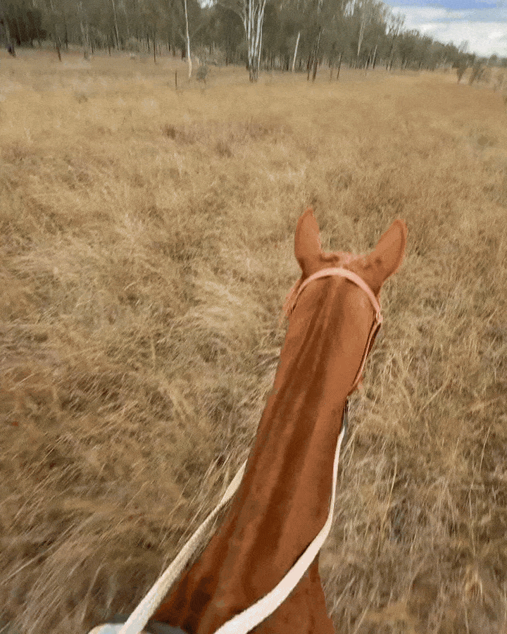 Video of Tessa Hansen riding a horse in Wandoan