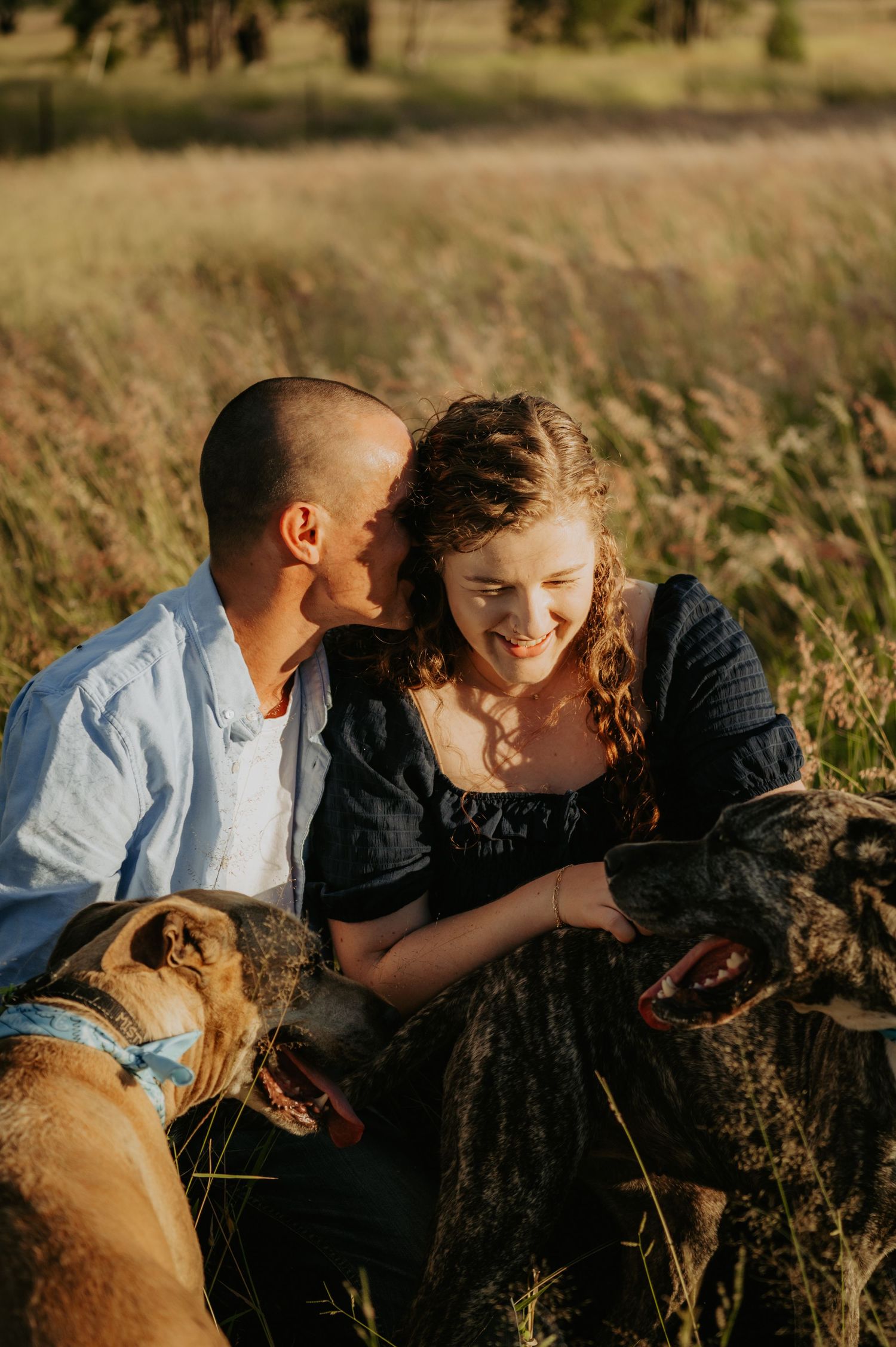 Couple sitting in golden field grass with two dogs, sharing a joyful moment at sunset.