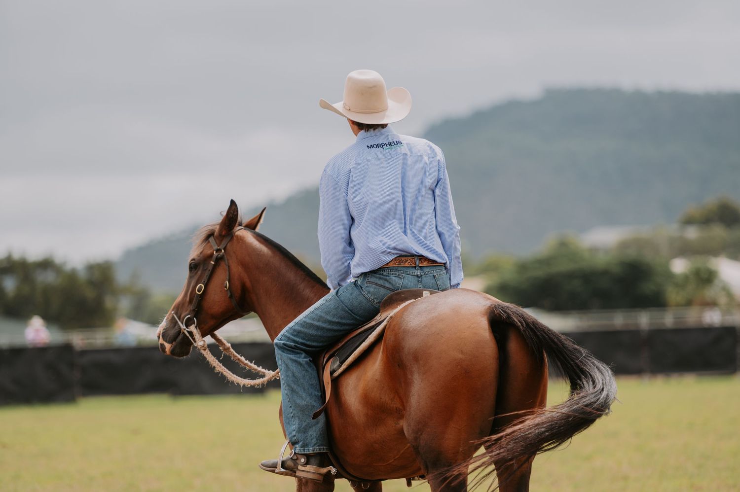 Riders on horseback practicing in a scenic mountain valley.