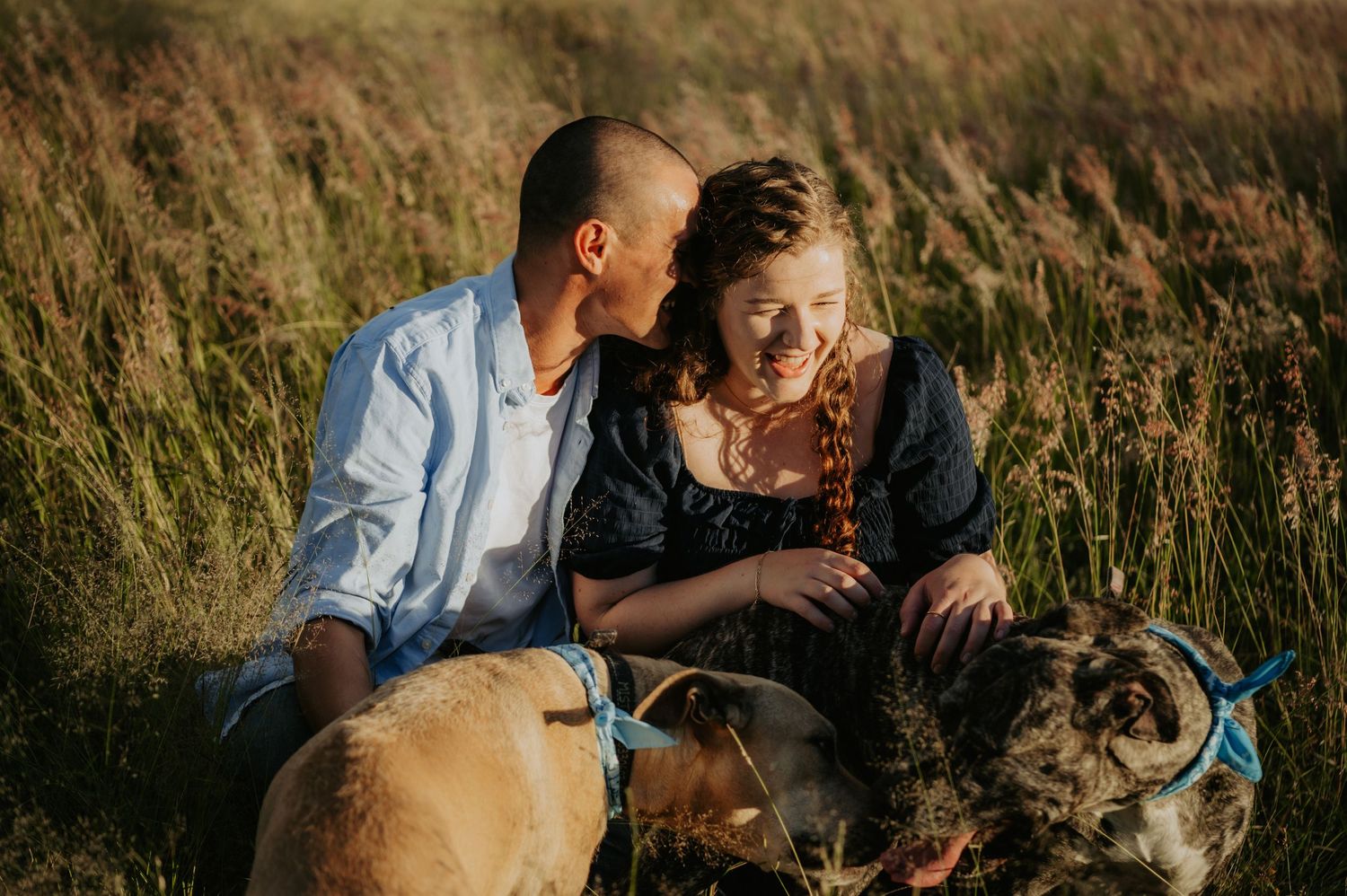 Couple sitting together in golden field grass with two dogs, sharing a tender moment outdoors.