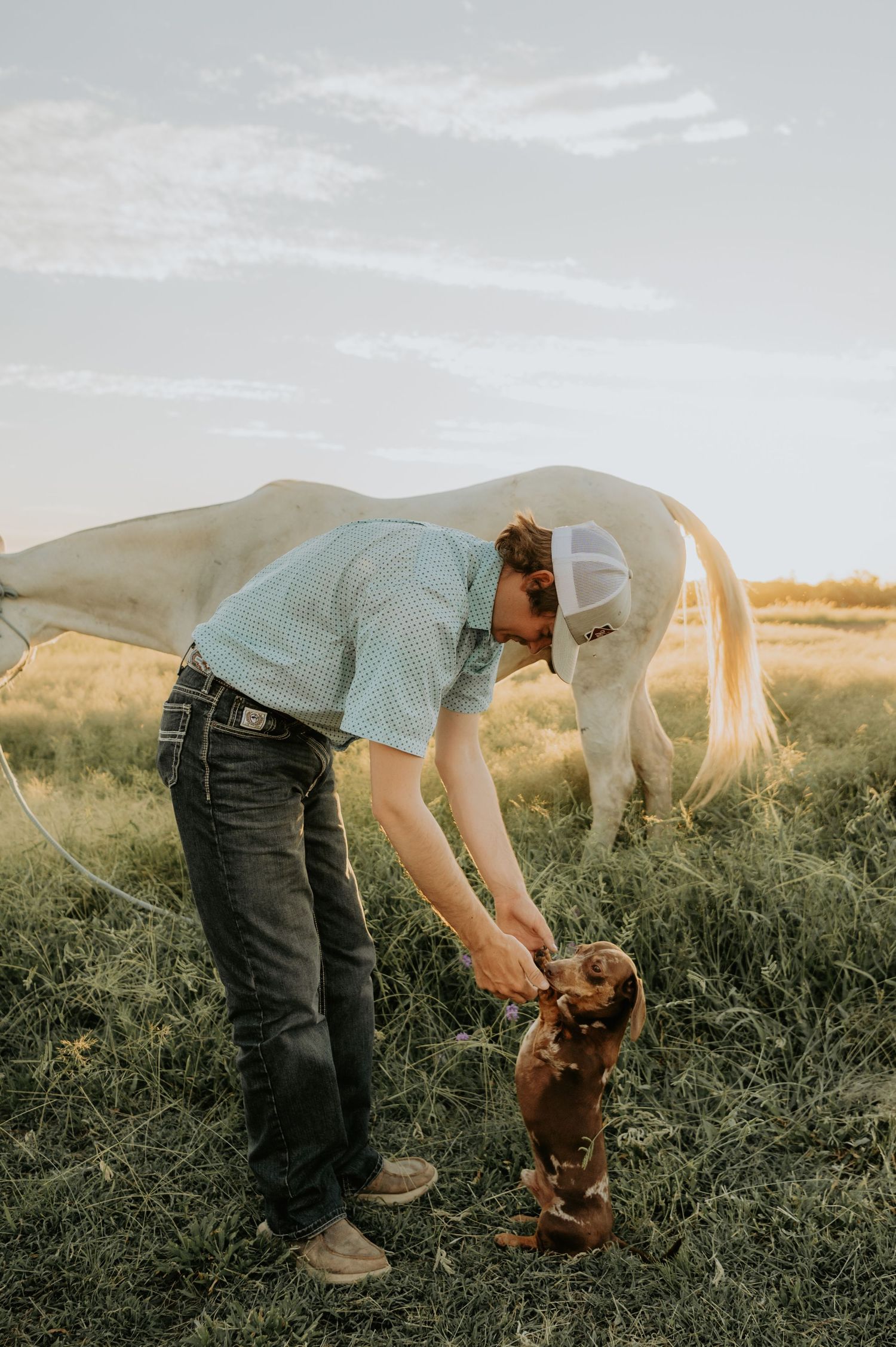 A man in a cowboy hat bends down to pet a small brown dog in a green field with a white horse grazing behind him.