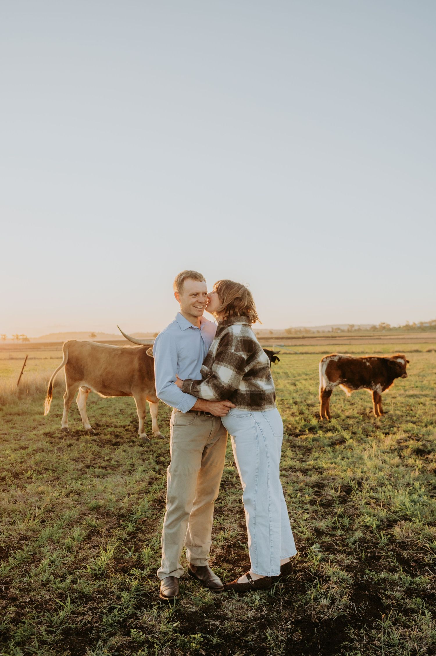 Couple embracing at golden hour in a farm field with cows grazing behind them, woman in plaid jacket kissing mans cheek.