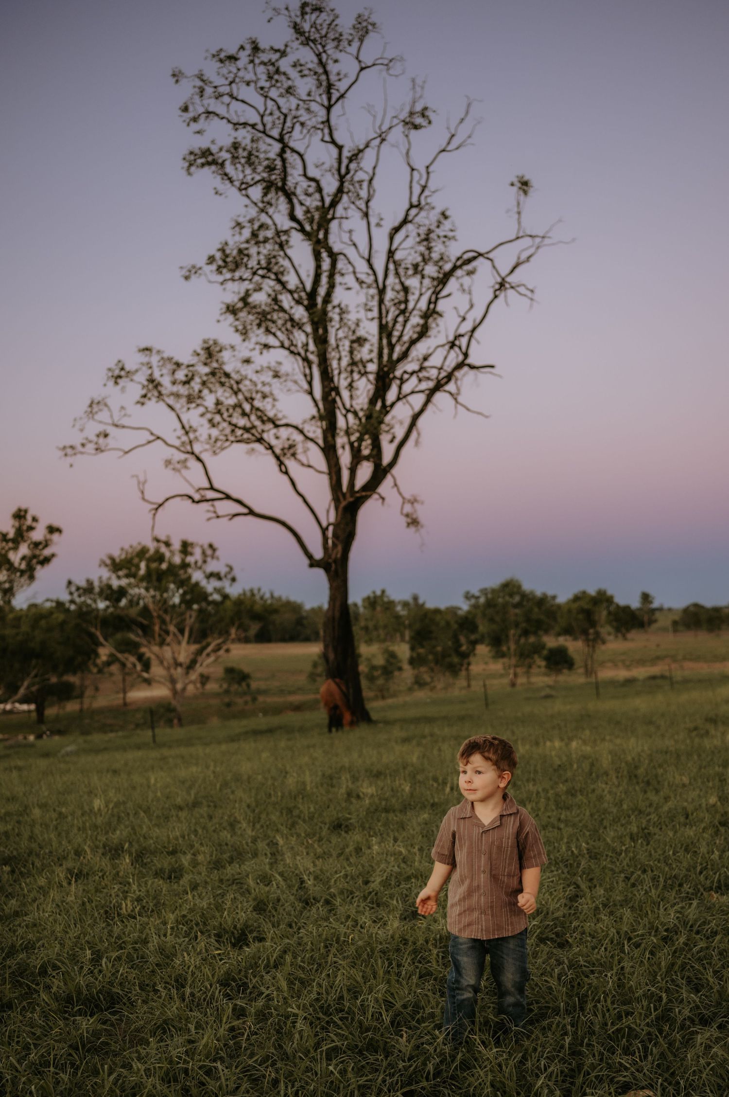 Pastoral landscape at dusk with bare trees scattered across a grassy field.