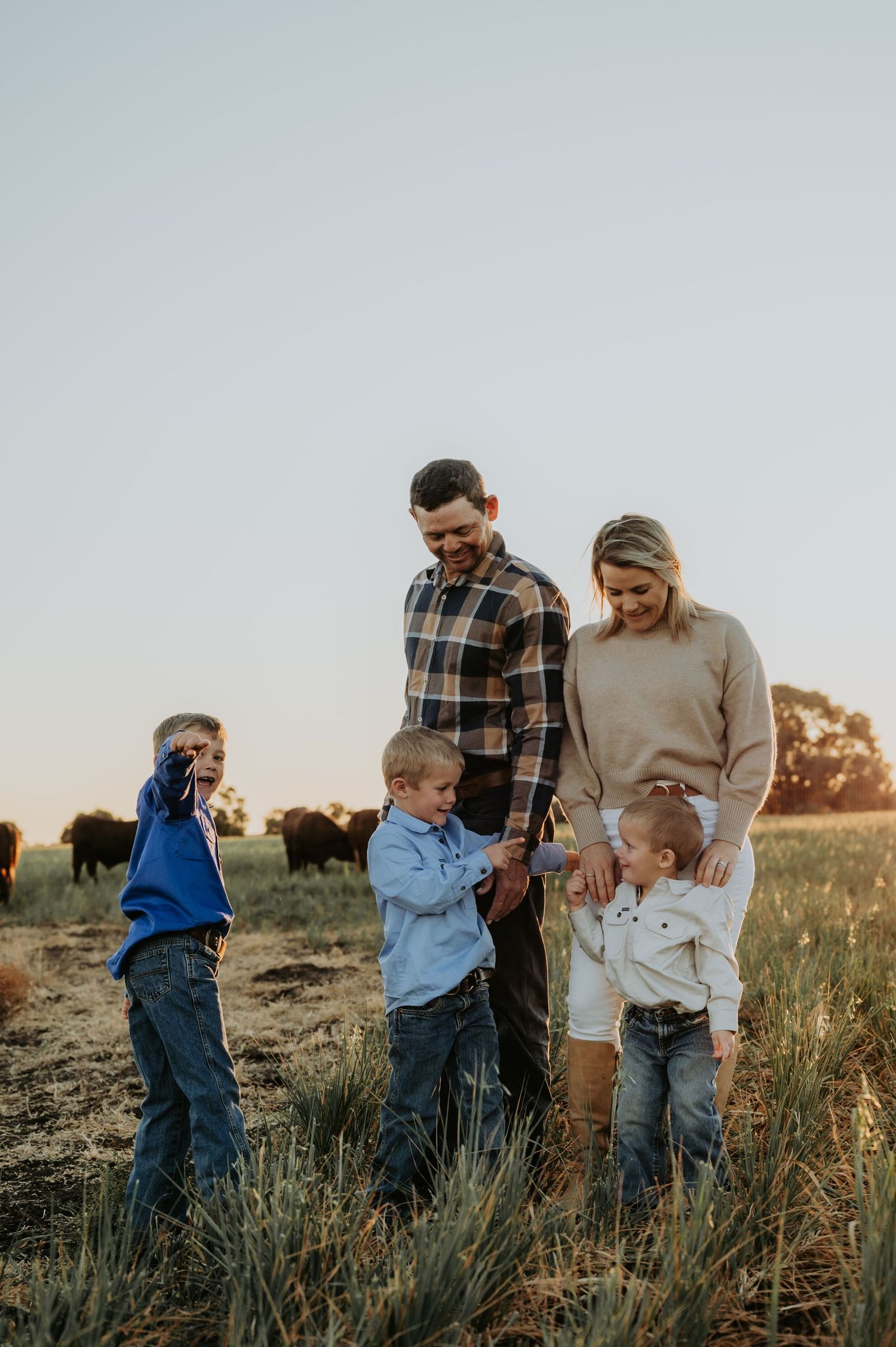 Family of five enjoying golden hour on a farm, with cattle grazing in the background on an open field.