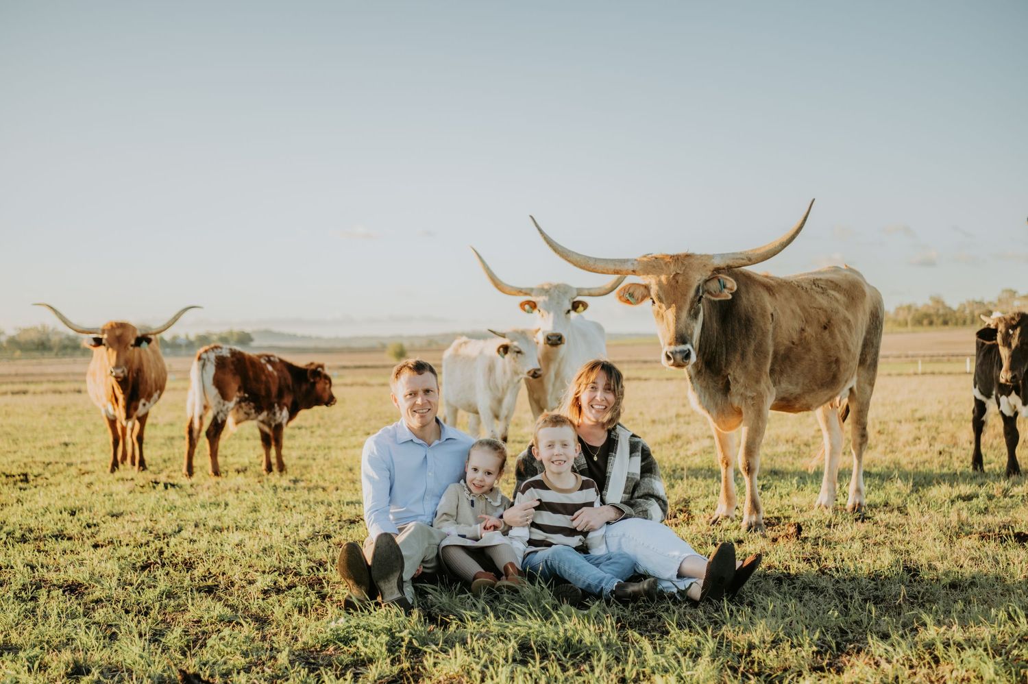 Family of four sitting in a field with longhorn cattle behind them on a sunny day.