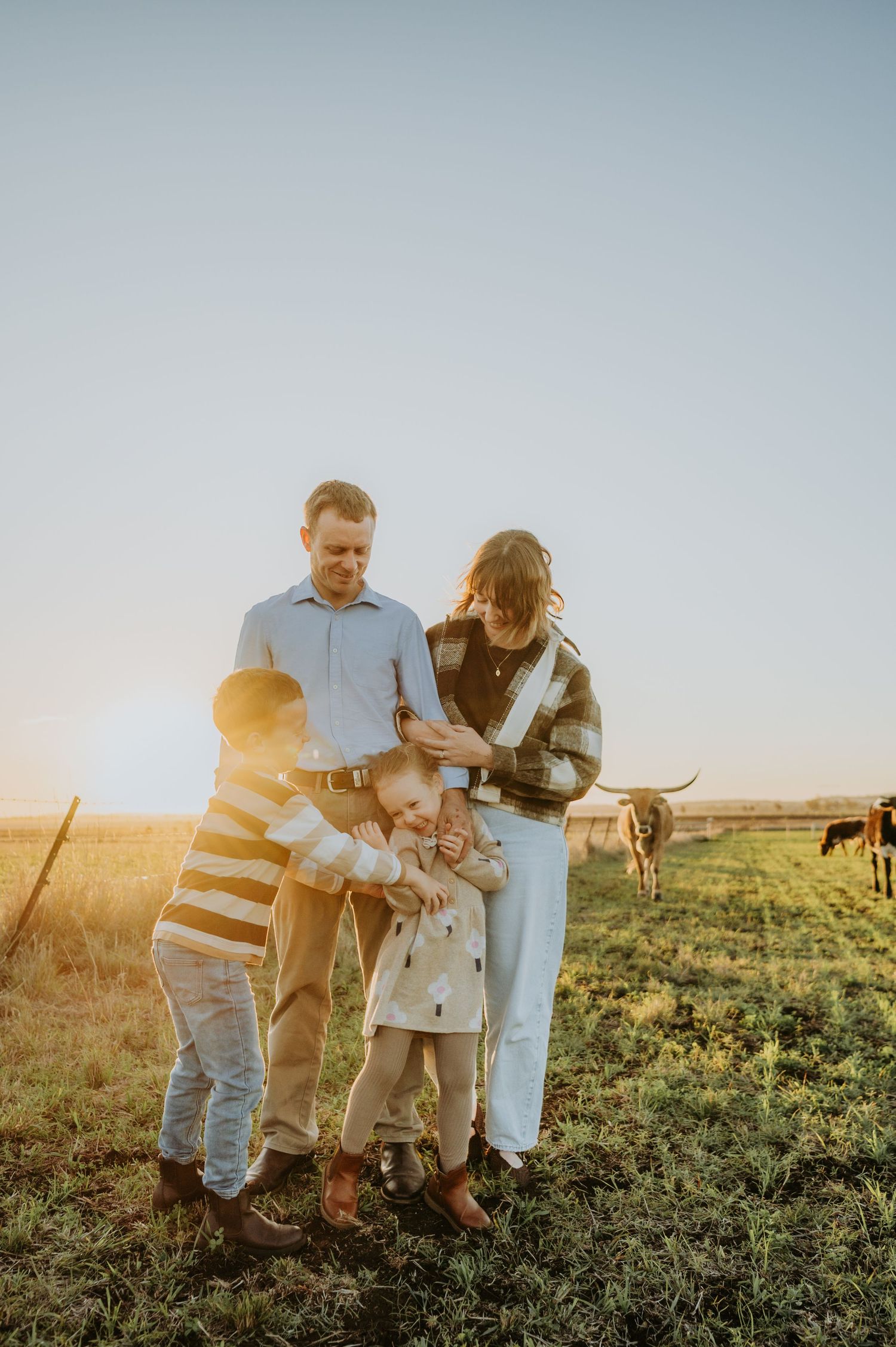 Family of four enjoying golden hour sunset on a farm with longhorn cattle grazing in the background.