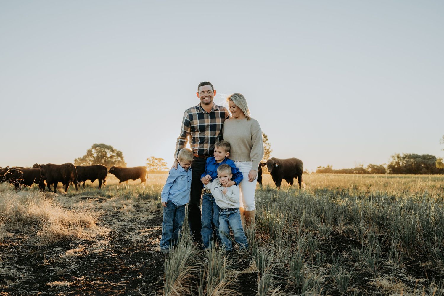 Family of four smiling in a field with black cattle grazing at golden hour on a farm.