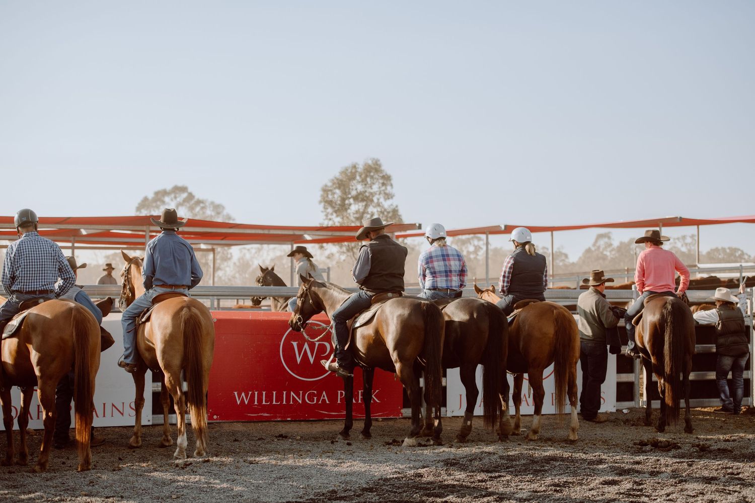 A panoramic view of horses and riders gathered at a rodeo arena with red and white fencing in the background.