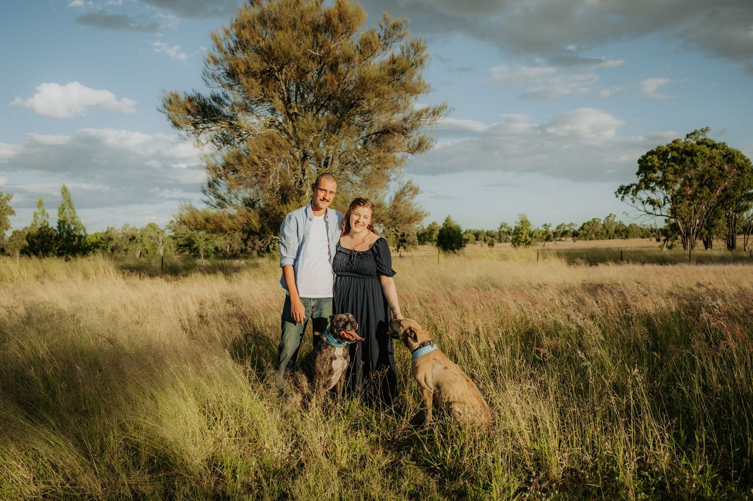 Couple standing in tall golden grass field with two dogs, surrounded by trees under a partly cloudy sky.