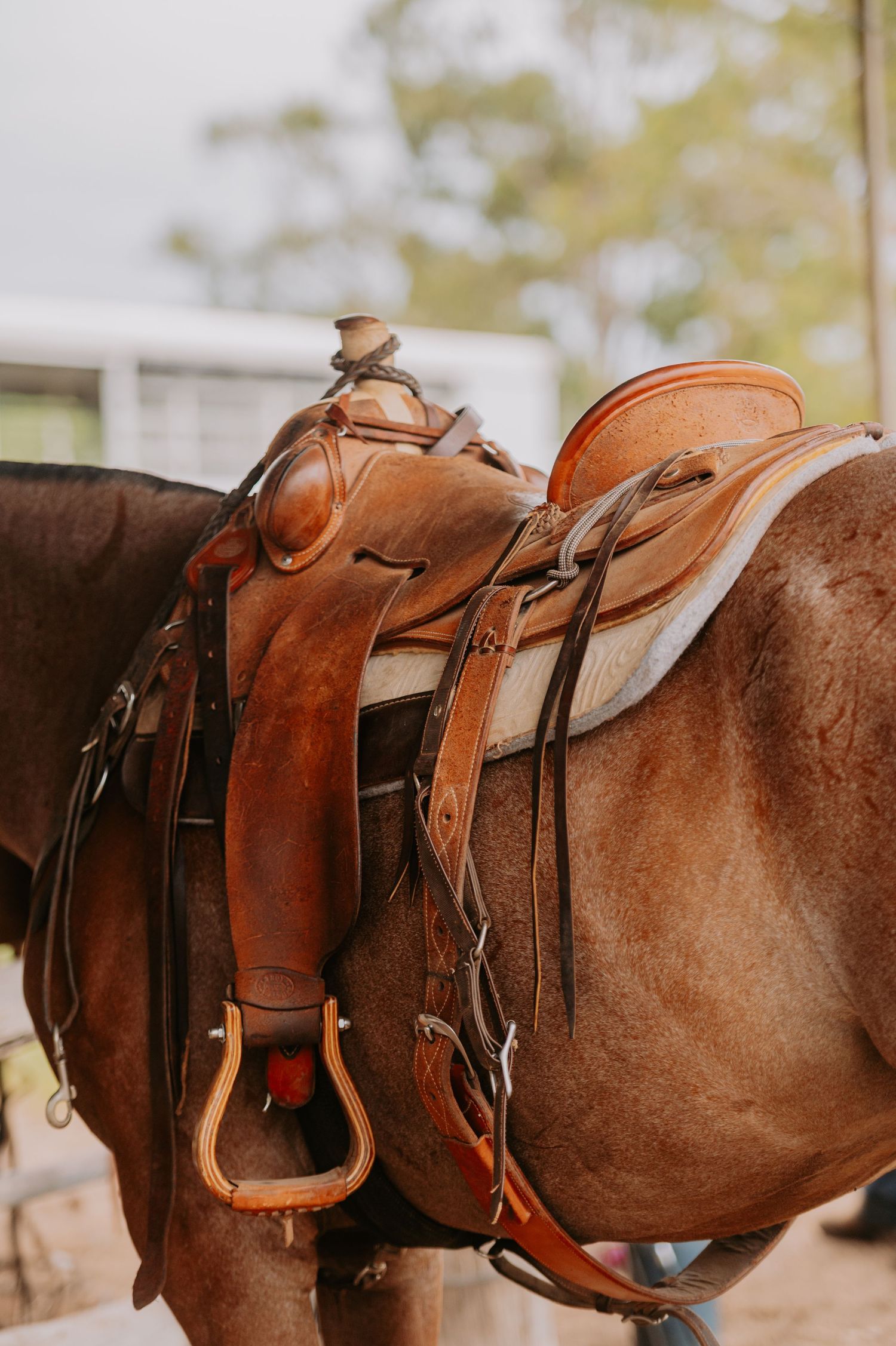 Close-up of a brown leather western saddle with stirrups on a chestnut horse outdoors.