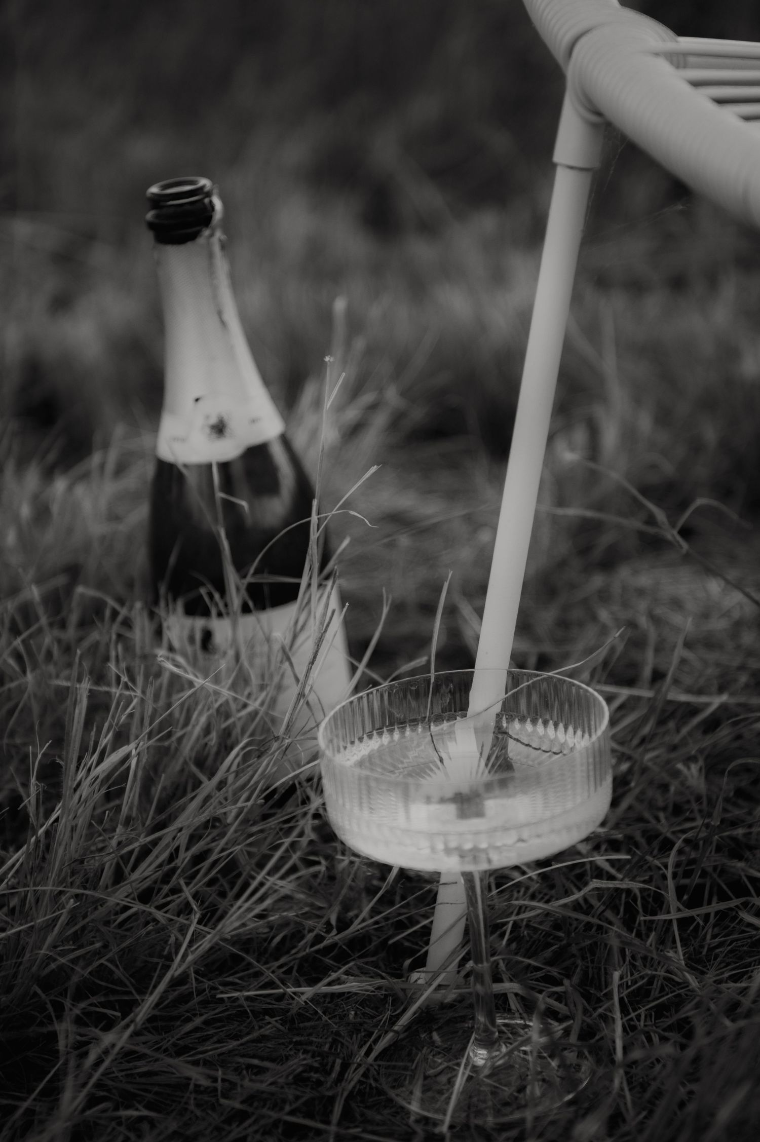 Black and white photo of a champagne glass on grass beside a bottle, with a chair umbrella pole nearby.