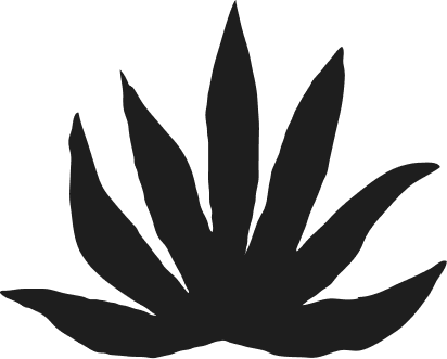 Black silhouette of an agave plant with pointed leaves.