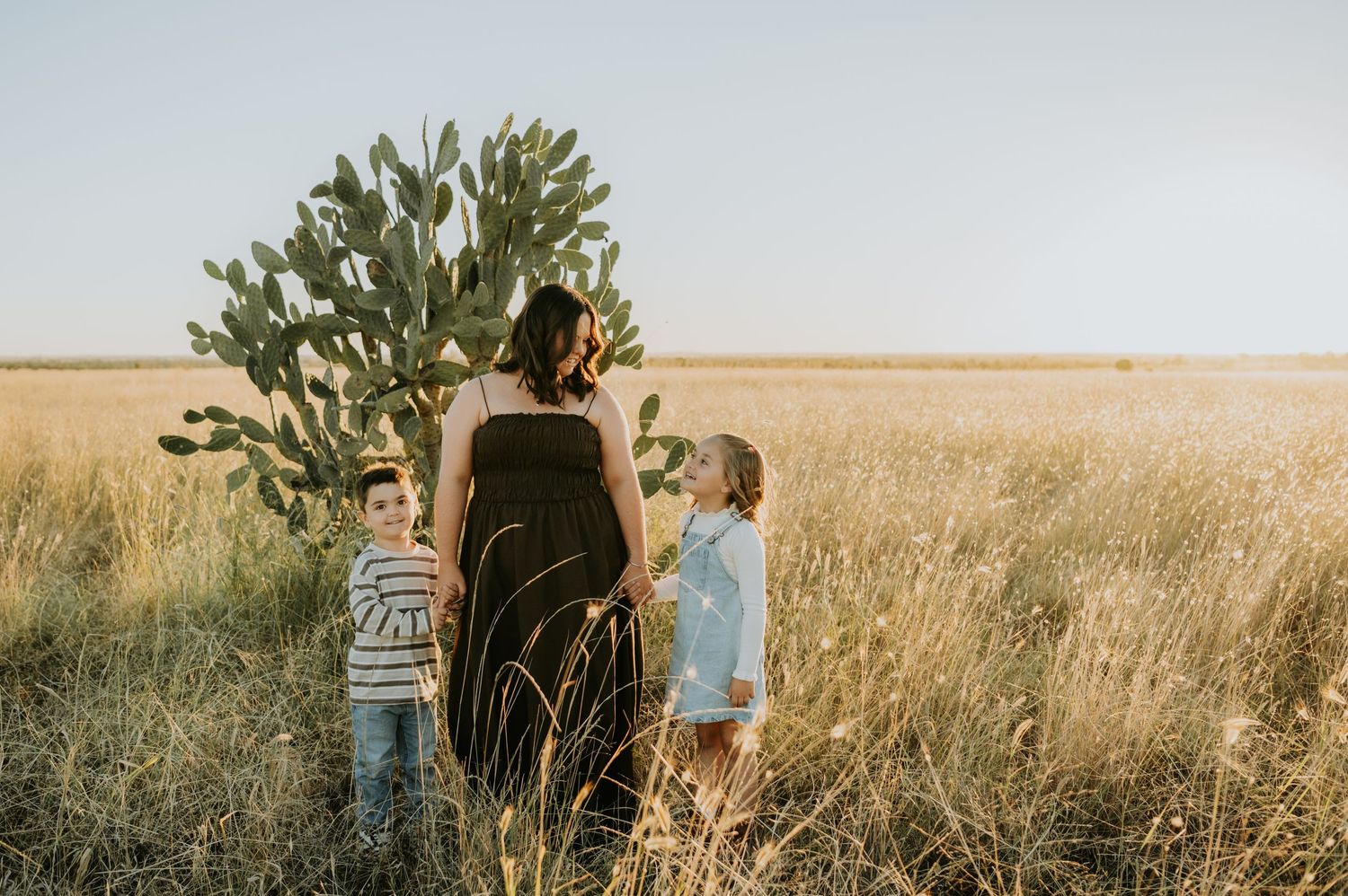 A mother and two children stand in a golden field beside a large cactus under a warm sunset sky.