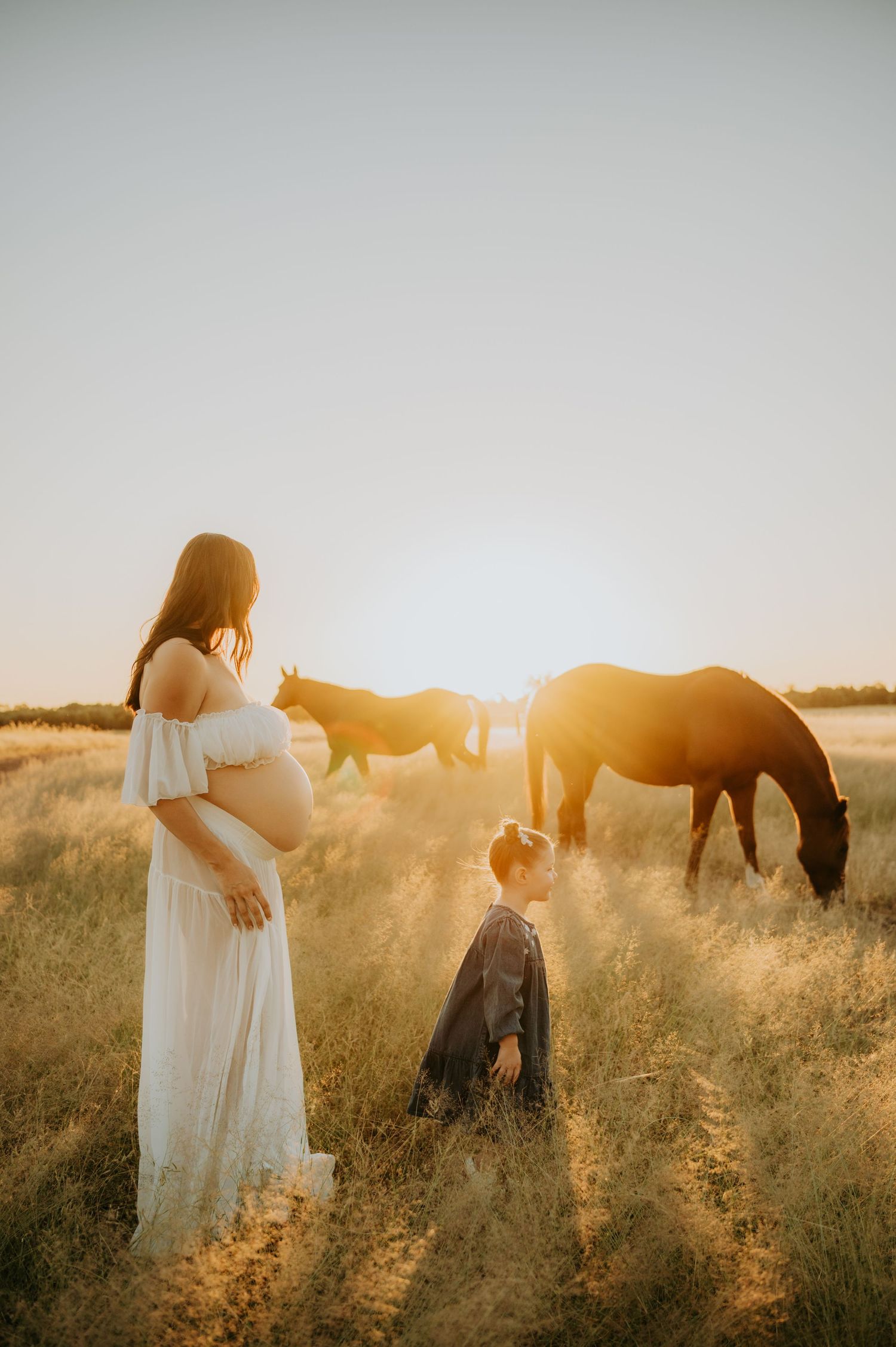 Pregnant woman in white dress with child in golden field at sunset, horses grazing in warm backlight.