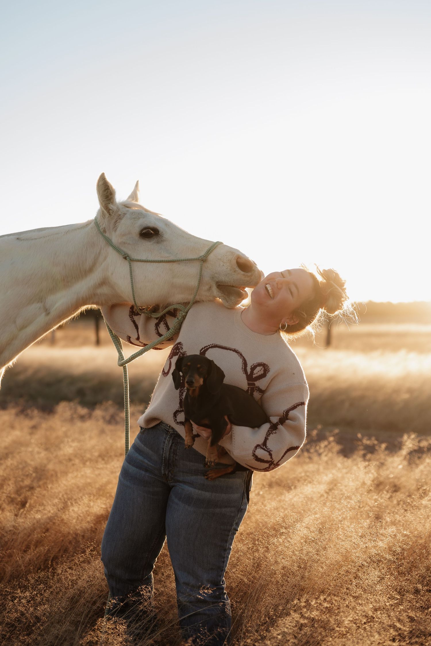 Woman in dachshund sweater holding small dog while white horse nuzzles her in golden field at sunset.