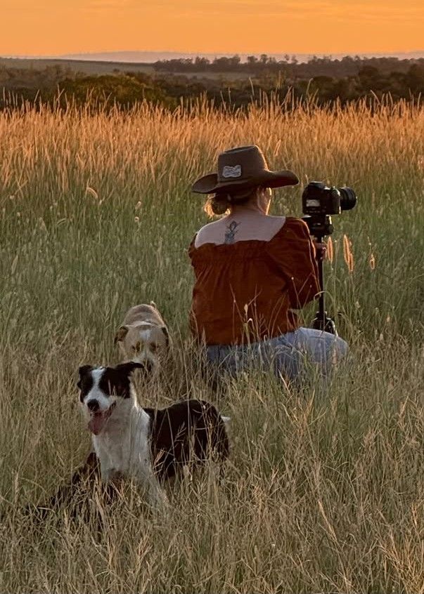 Photographer with camera in tall grass field at sunset with dog companions.