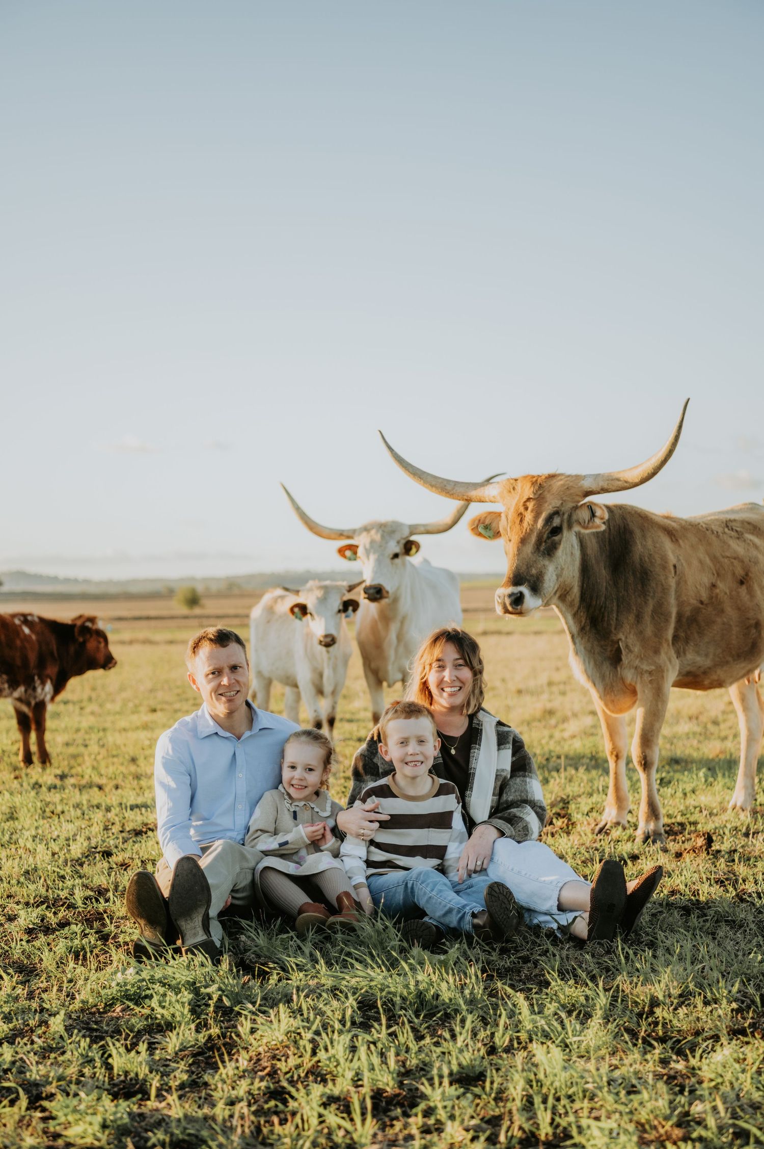 Family of four sitting in a field with longhorn cattle behind them on a sunny day.