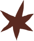 Decorative brown star pattern elements on white background.