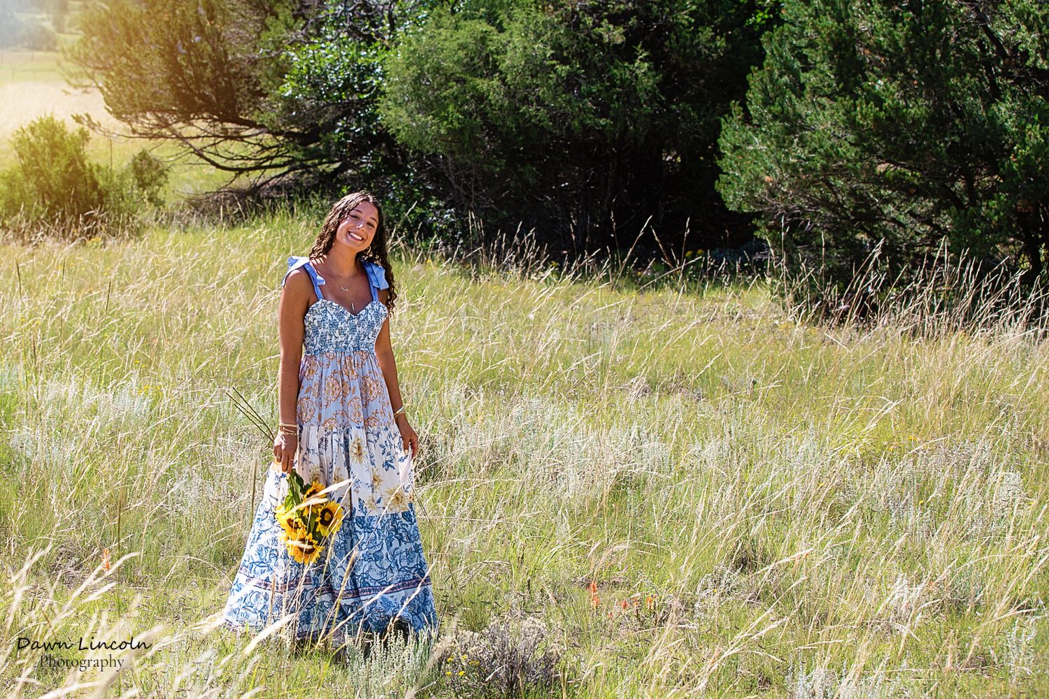 Dawn Lincoln, Canon City Professional Photographer for family, maternity, children, high school senior, engagement and wedding photographer