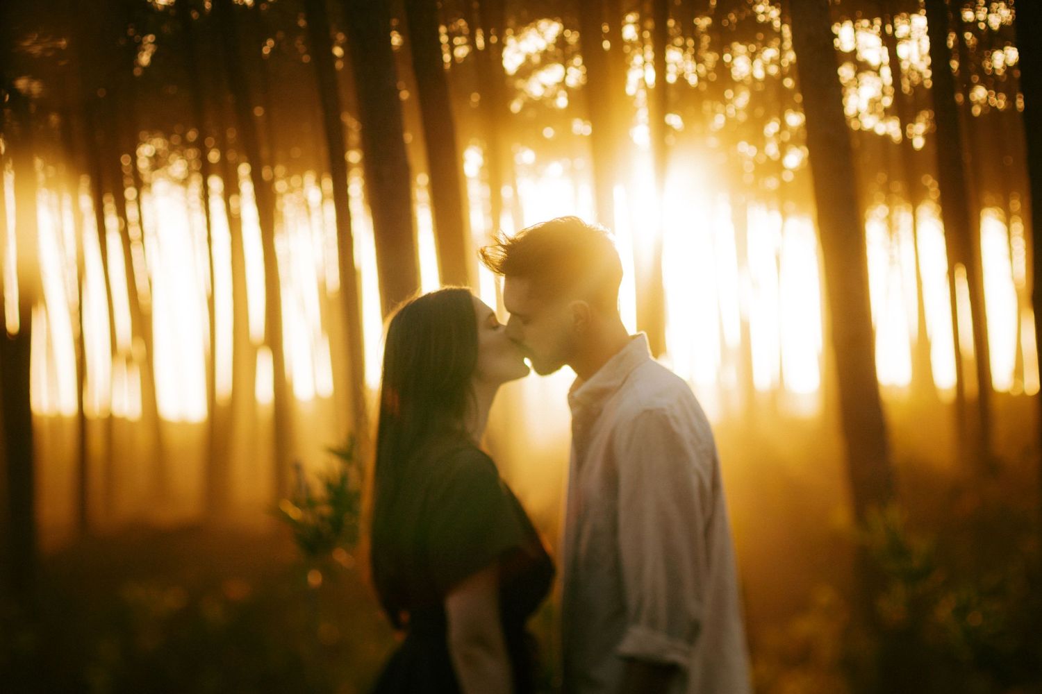 Silhouette of a couple sharing a kiss backlit by golden sunset rays through a pine forest.
