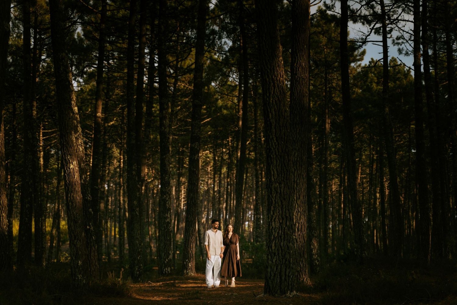 Couple walking hand in hand through a dramatic sunlit pine forest on their wedding day.