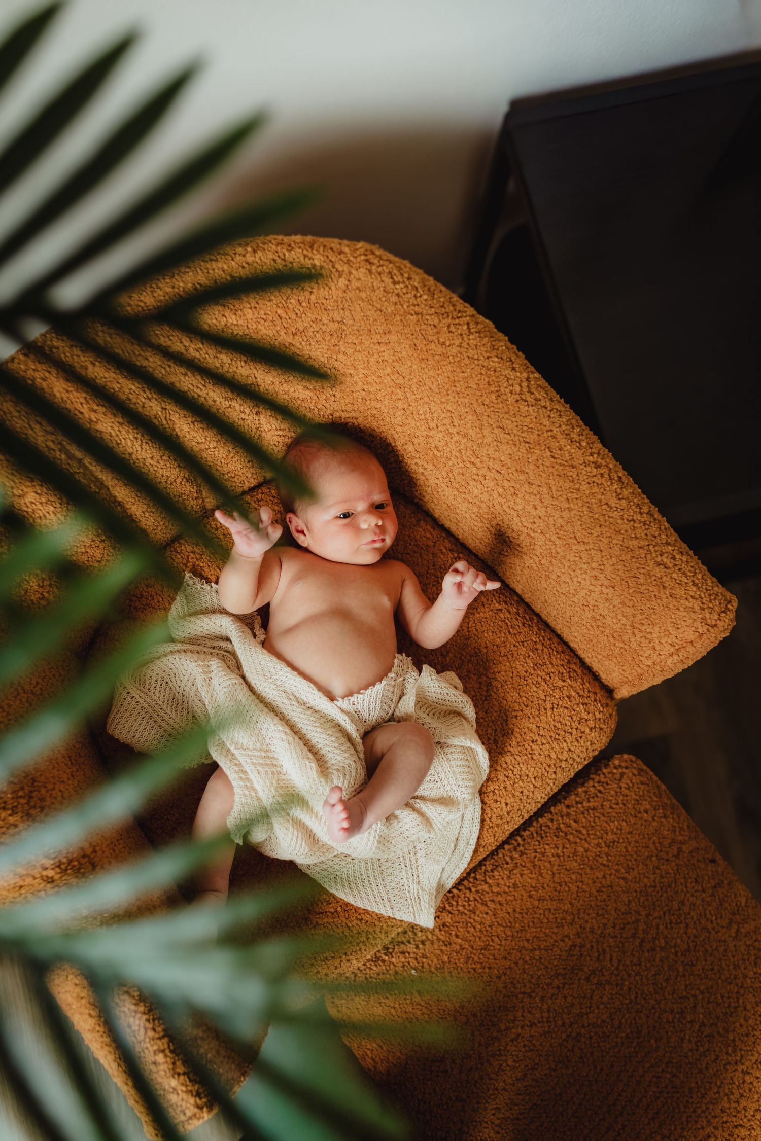 Lakewood Ranch in-home newborn photographer capturing timeless newborn portraits in the comfort of a family's home .florida baby plants