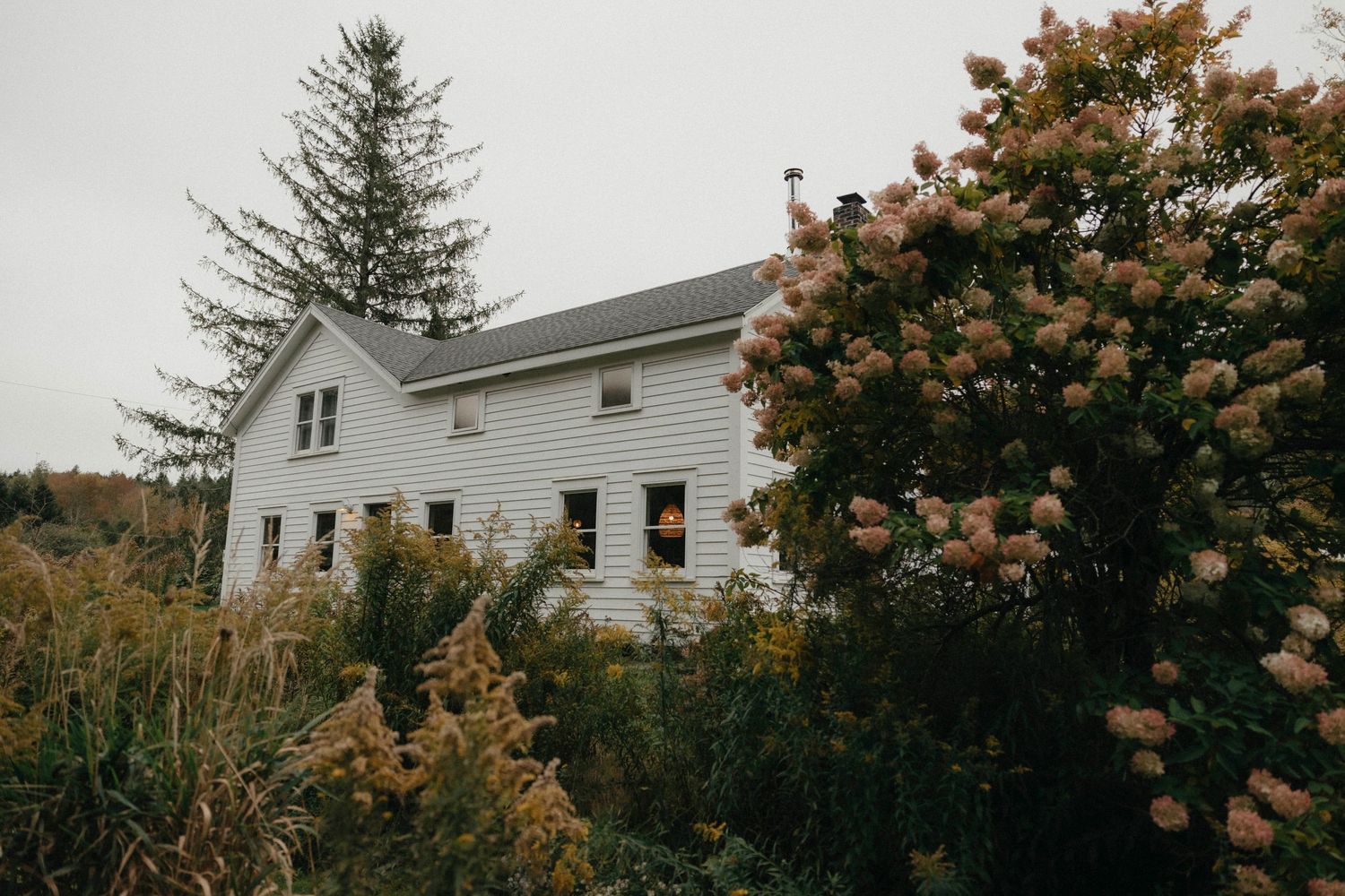 White farmhouse surrounded by blooming hydrangeas and autumn foliage on an overcast day.