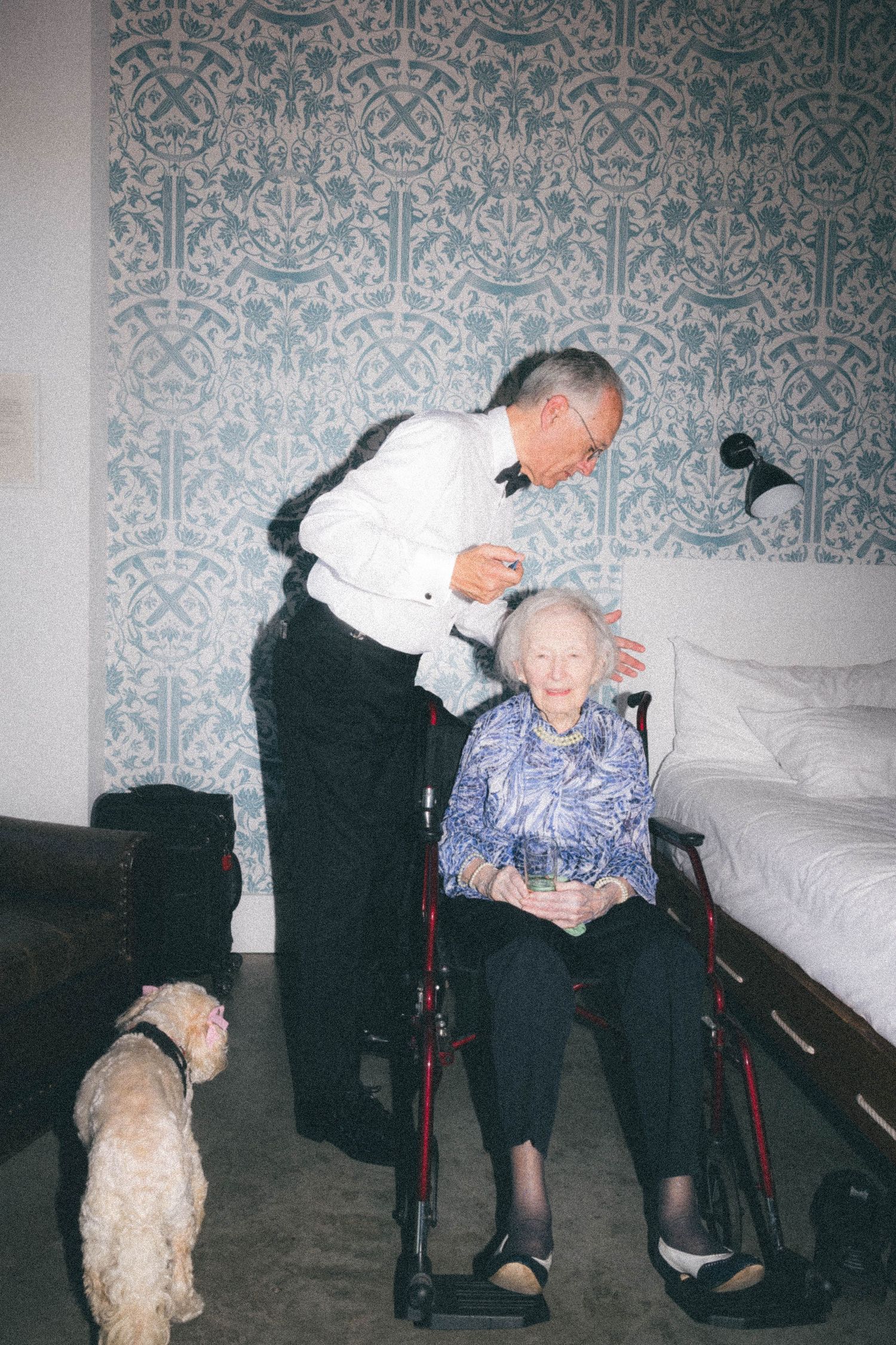 Elderly woman in wheelchair with man in tuxedo gently styling her hair beside a small dog in hotel room.