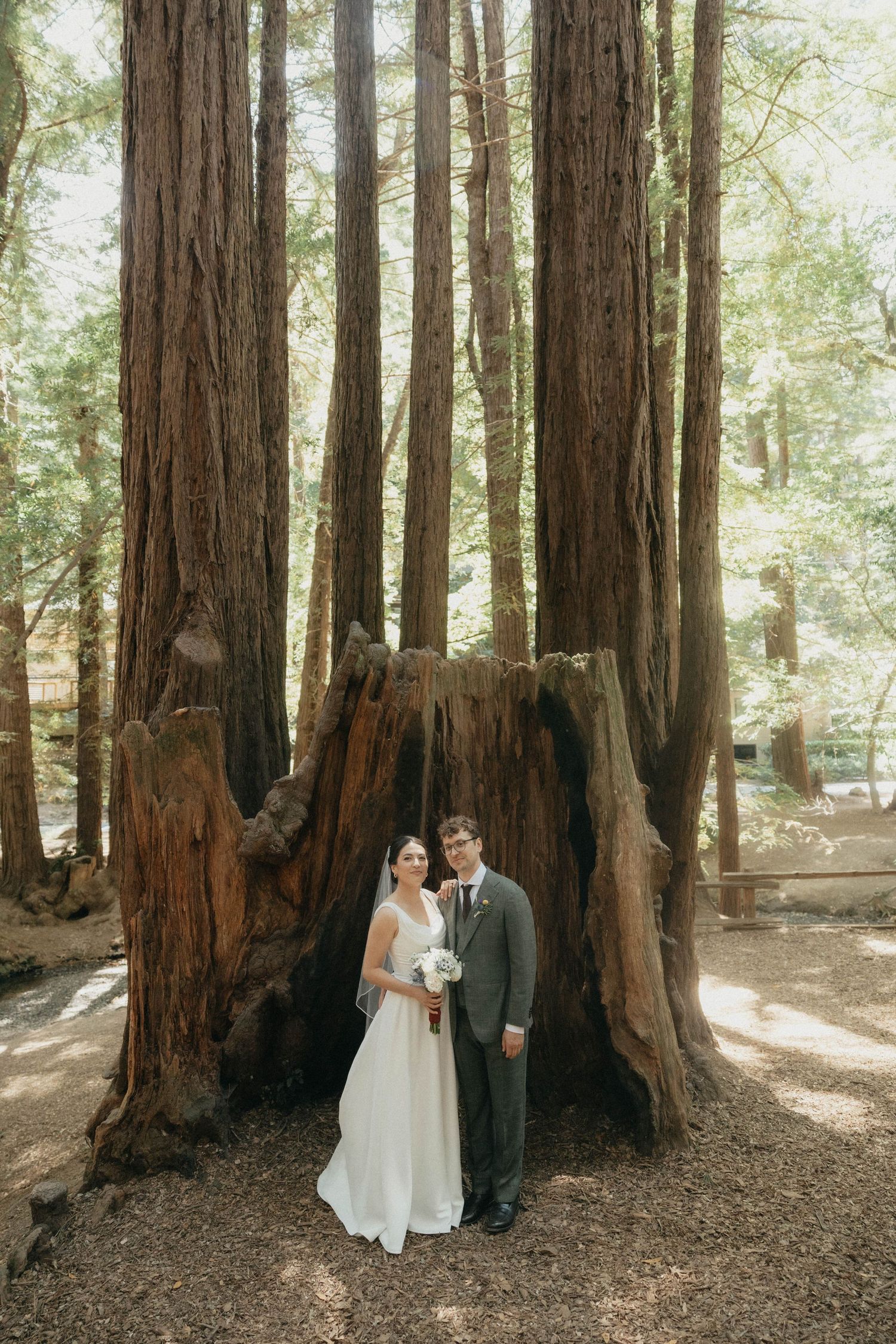 Bride and groom pose romantically before towering redwood trees in a sunlit forest.