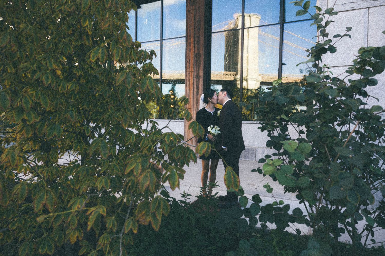 Wedding couple shares romantic kiss surrounded by lush green foliage near large windows.