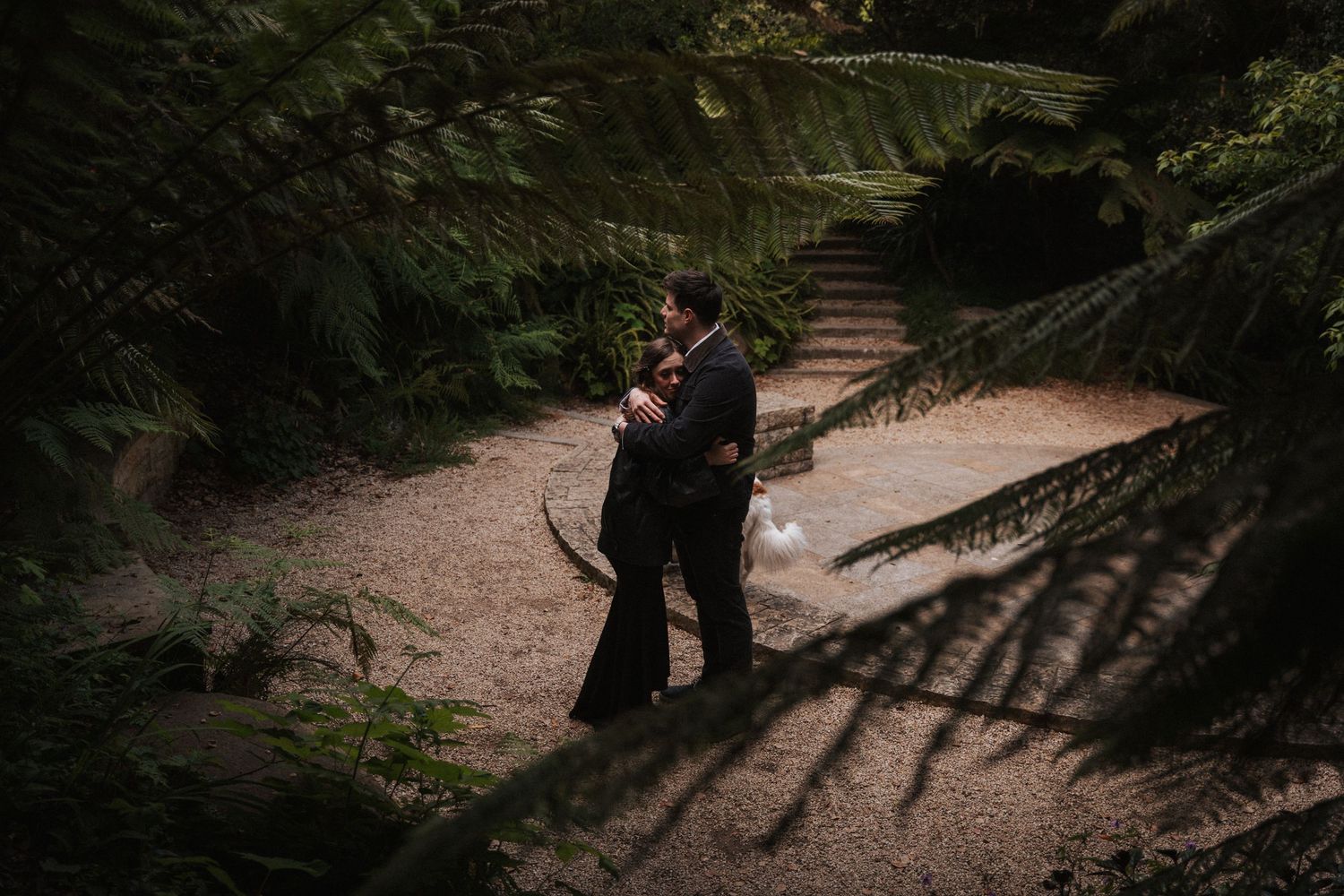 Couple embracing on a forest path surrounded by lush ferns and dappled light.
