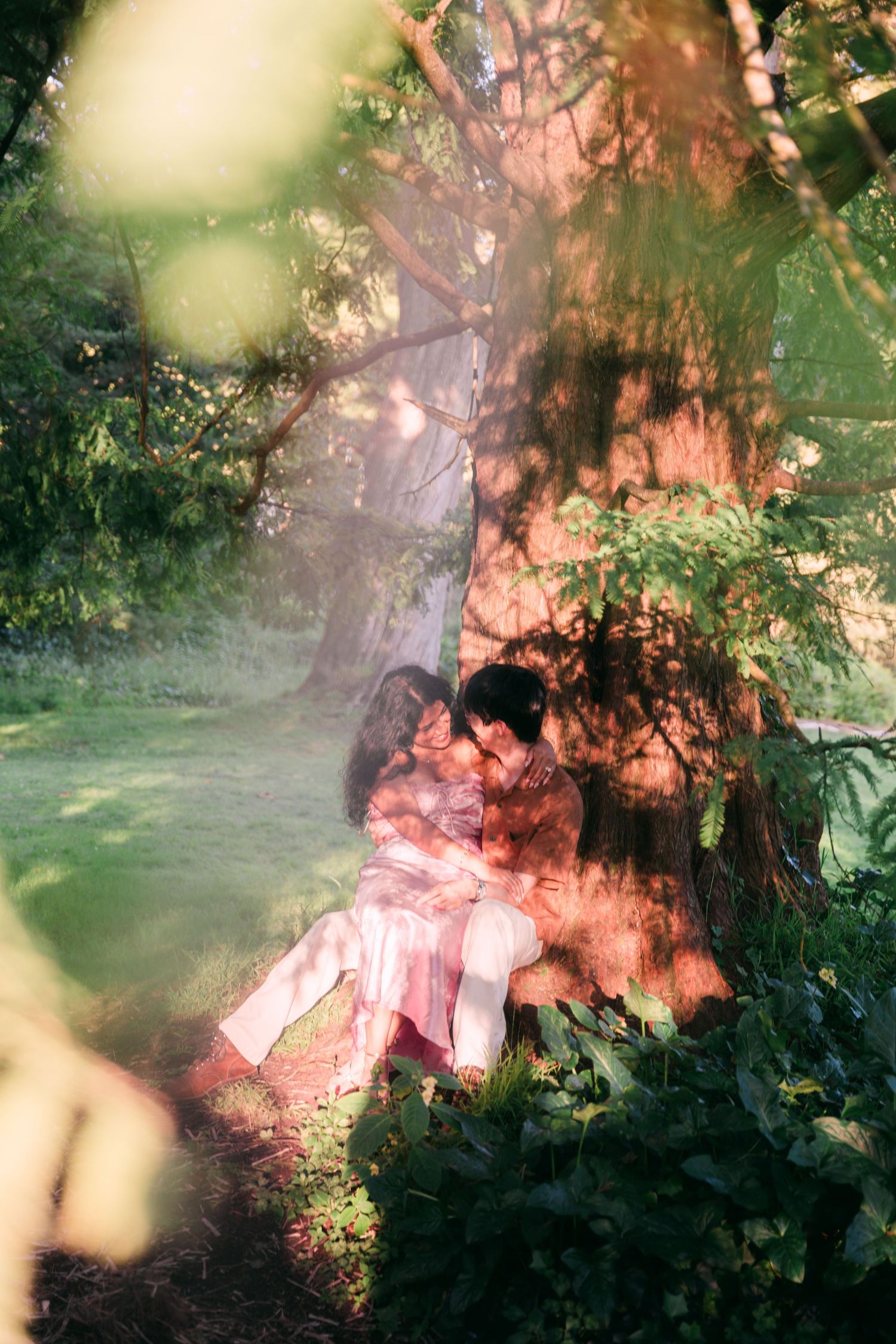 Couple sitting together against a large tree in a lush green forest, bathed in warm sunlight filtering through the leaves.