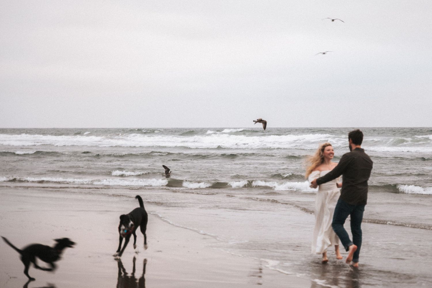 A couple dances playfully on a cloudy beach while two black dogs run nearby with waves in the background.
