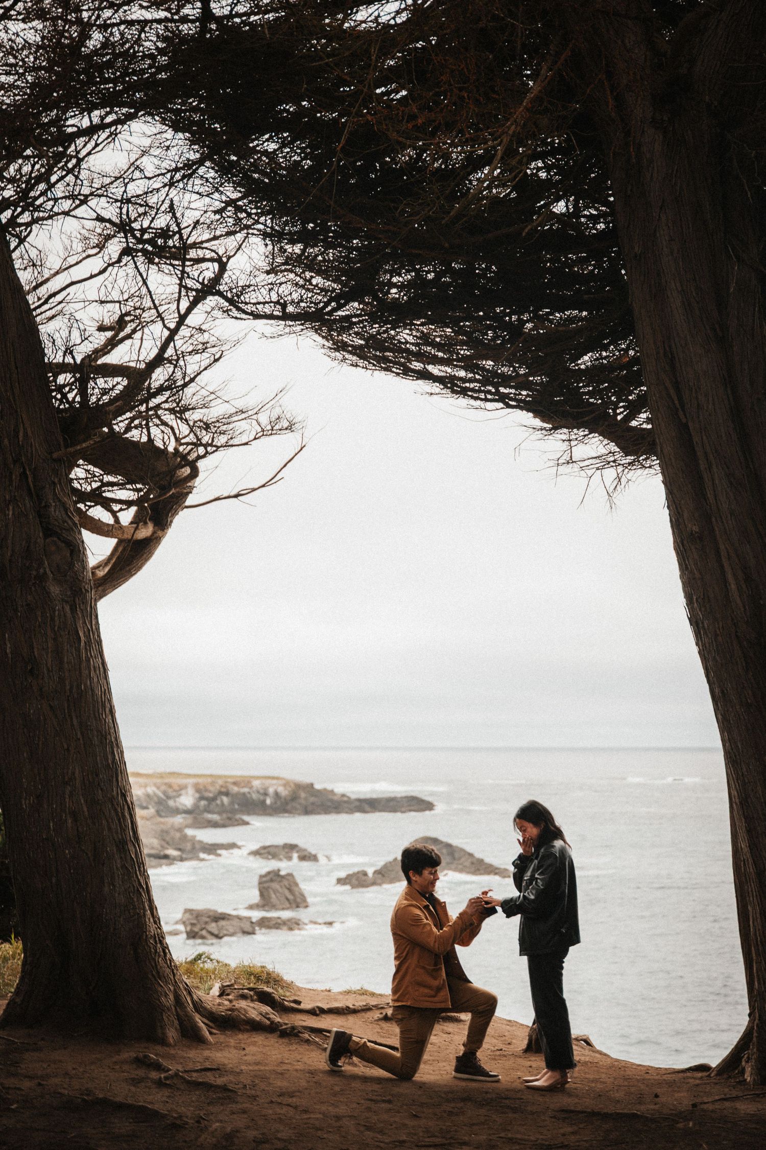 Man proposes on one knee to woman between coastal cypress trees with ocean views.
