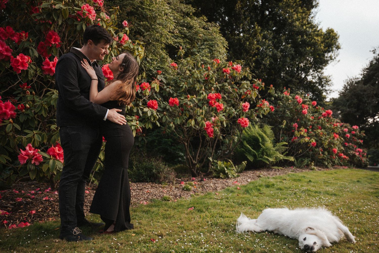 Couple in black attire embracing in garden with red rhododendrons, white dog resting on grass nearby.