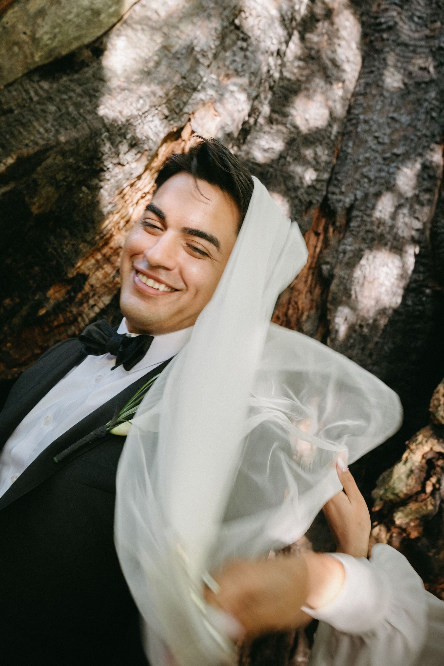 Smiling groom in black tuxedo leaning against tree trunk with bride's white veil flowing around him outdoors.
