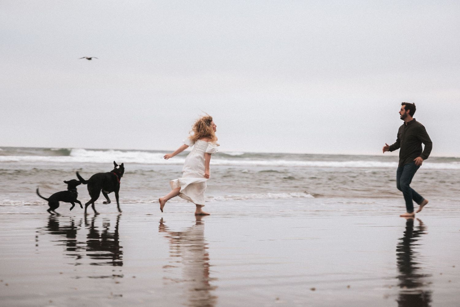 Couple running and playing with two black dogs on a sandy beach with ocean waves in the background.